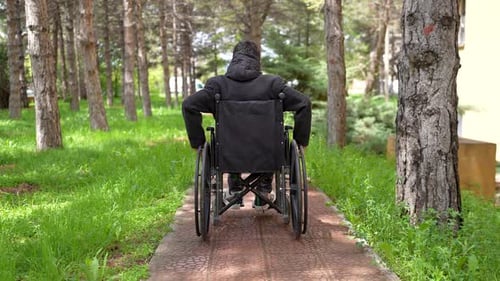 Person Using Wheelchair on Path in Urban Park