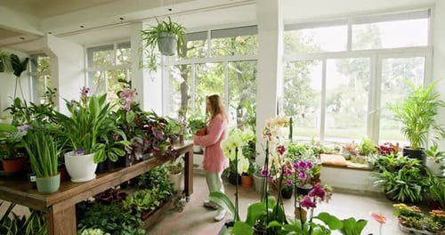 Woman arranging plants in lush indoor plant store