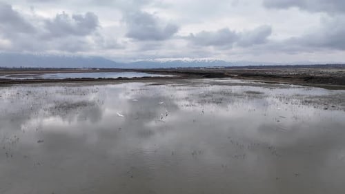 Lake