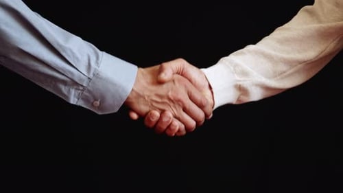 Two Businessmen Shake Hands in Agreement