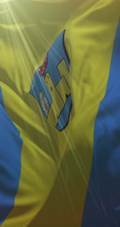 Vertical Waving Flag Animation with Bright Sun Rays and Crest