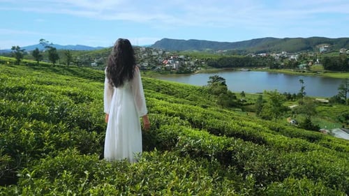 Woman in White Dress Overlooking Tea Fields and Lake Gregory Sri Lanka