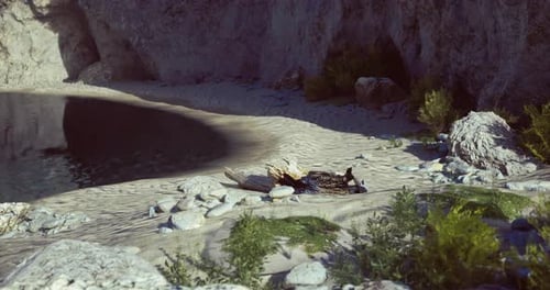 Serene Beach with Rocky Shore and Gentle Waves at Sunset