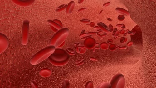 Red Blood Cells