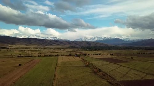 Aerial view of agricultural fields