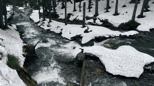 River Water in Nature Waterfall in Beautiful Winter Forest. Winter Forest Landscape