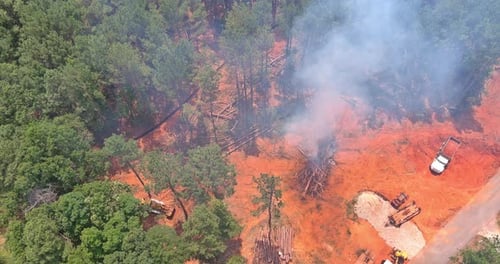 In Order to Prepare Land for Building Homes It is Necessary to Destroy Forests and Burn Uprooted