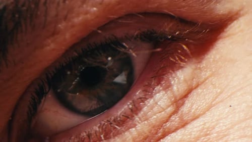 Macro détaillée en gros plan d'un œil d'homme Un œil bleu humain met en valeur ses caractéristiques complexes