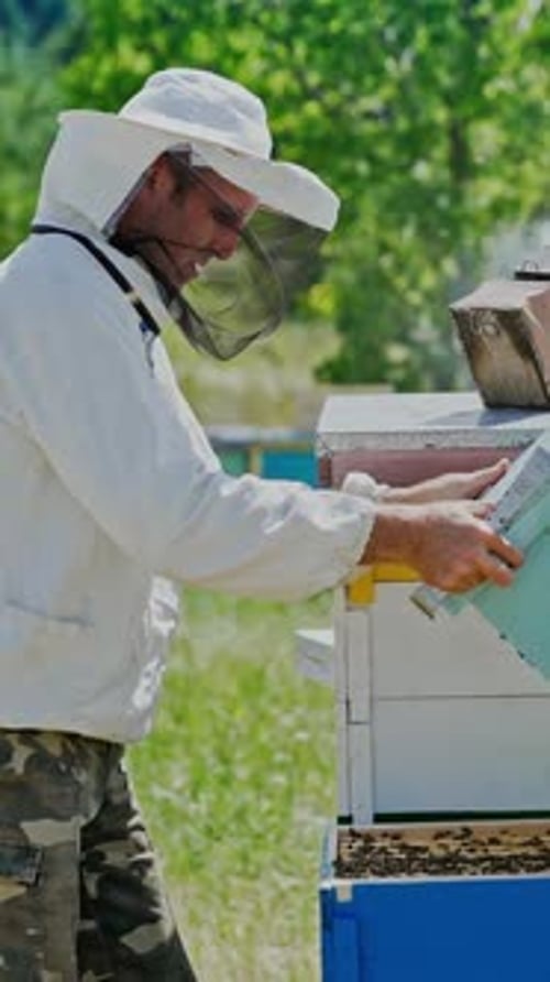 Beekeeper Inspecting Honeycomb at Rural Bee Yard