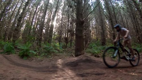 Kid on forest mountain bike track pumping speed on bicycle, bright light rays