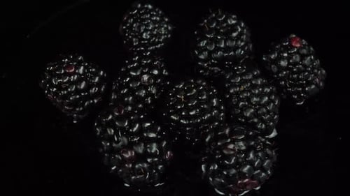 Juicy Blackberries Close-Up on a Dark Surface