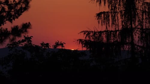 Sun disappear behind the mountain, Orange and red sunset sky over the forest