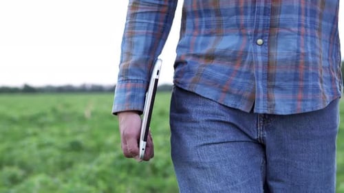 A working farmer walks with a tablet in a soybean field. Agriculture.