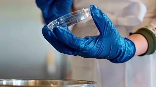 Scientist Transfers White Cream onto Petri Dish