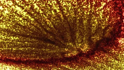 A Very Close Up View of a Red and Yellow Object