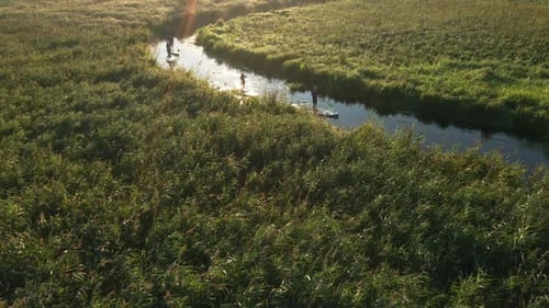 Group of Travellers Riding Paddleboards in Curvy River