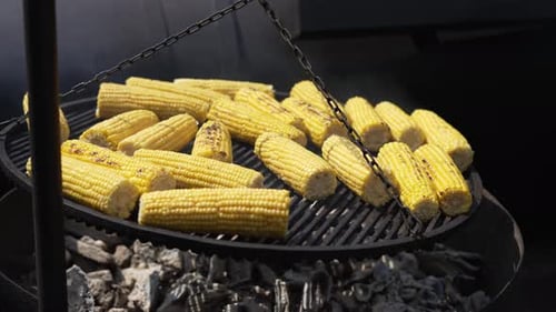 Grilled Corn on Cob for Barbecue Barbecue Concept