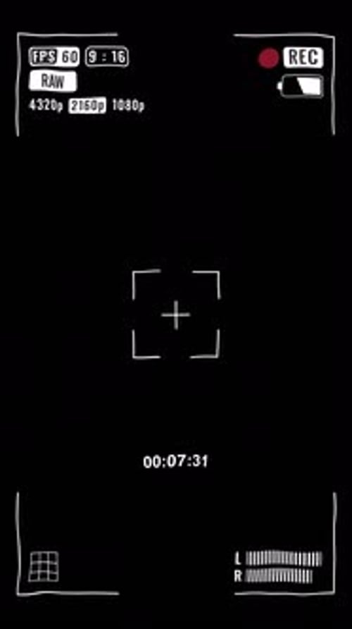 Black And White Camera Viewfinder Display