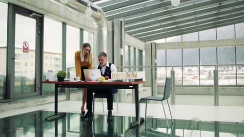 Architects review house design model in bright modern office space