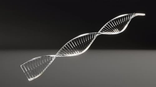 Futuristic Transparent DNA Double Helix Rotation Loop