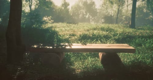 Peaceful Wooden Bench Under Sunlight in a Tranquil Forest Setting