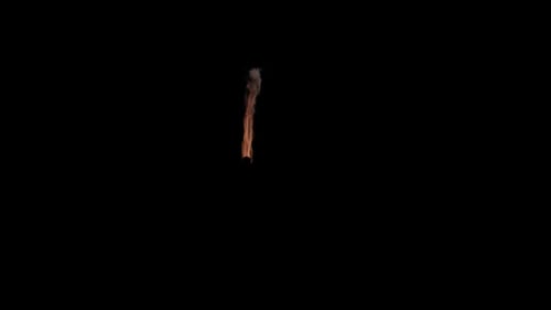 Realistic Fire with Rising Smoke Animated Element