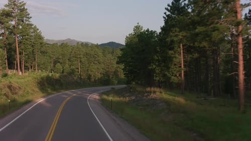 Driving Through the Black Hills, South Dakota America