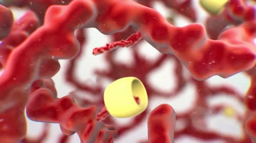 3D Animated Molecular Interaction in Scientific Environment