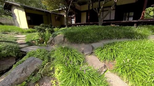 Steadicam shot moving through Japanese tea garden.