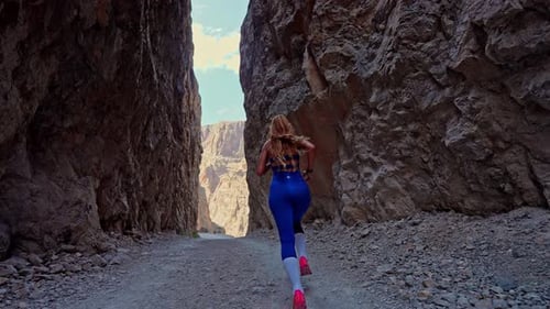 Canyon Path Runner