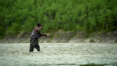 A Fisherman Casts A Spinning Rod And Catches Fish On A River