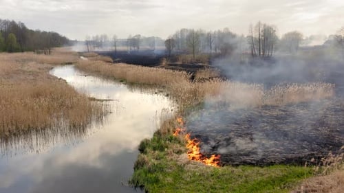 Drone Footage of Straw Burning Within the Field in Countryside