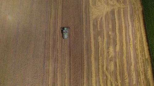 Aerial birds eye shot of combine harvester cutting on wheat field during summer day