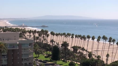 Aerial rising above Santa Monica beach with row of palm trees and famous pier during overcast day