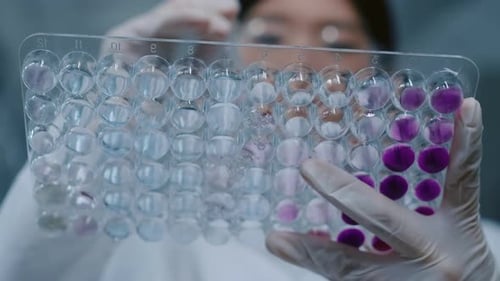 Une scientifique ajoute des gouttes de réactif violet au liquide dans un plateau de test