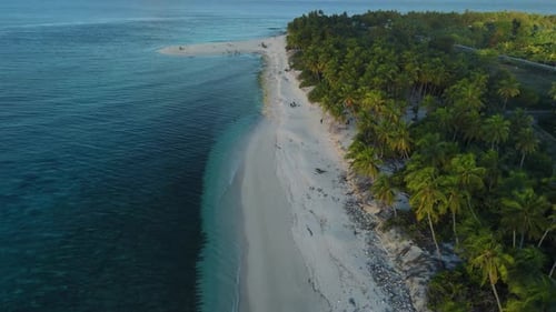 Tropical Beach with Coconut Palm Trees and Ocean with Soft Sunlight Drone View of Fuvahmulah Island