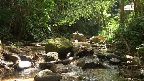 Stream Water
