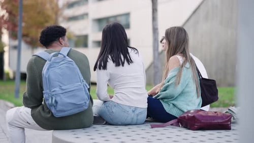 Group of Students Sitting and Talking Together on Campus