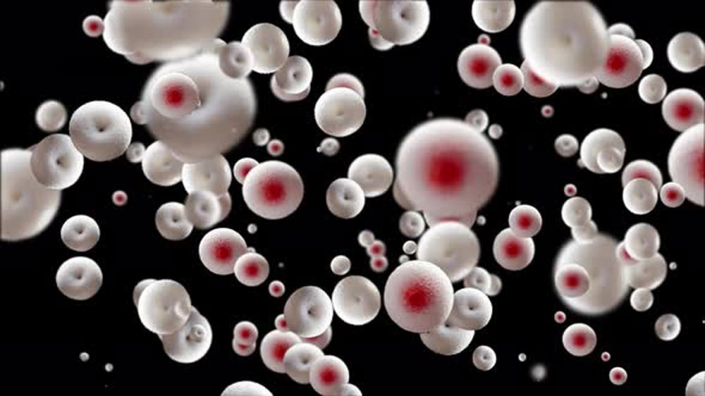 Animated Microscopic Cells Abstract Background Loop, Backgrounds Motion ...