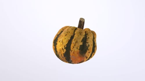 Pumpkin 3d object rotating loop