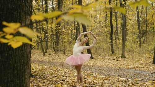 A Ballerina in a Pink Tutu Dances Among the Trees in the Woods