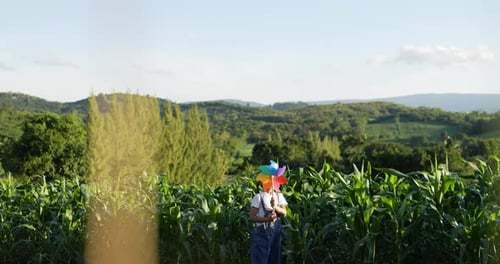 A cute little girl happily plays with a windmill in the corn field.