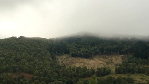 Foggy forested hills covered in green trees with mist rolling over the mountain landscape