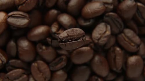 Roasted Coffee Beans Close Up Still Shot