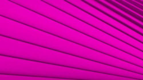 Abstract Pink Lines Geometric 3D Background
