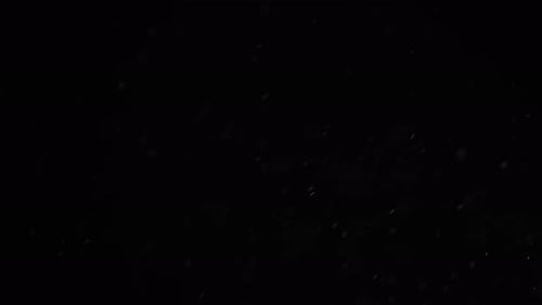 Particle dust