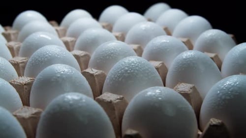 Close up Panning Shot of Carton Full of Eggs