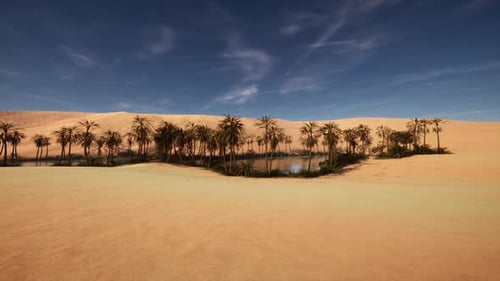 Üppige Palmenoase, umgeben von einer riesigen Wüstenlandschaft unter klarem blauem Himmel