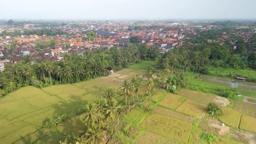 Ubud Town on the Indonesian Island of Bali in Ubud District, located amongst rice paddies and steep