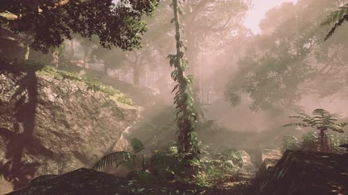 Misty Jungle Forest Environment with Sun Rays and Lush Greenery